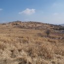 가지산개발