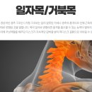 현대제통의원 이미지