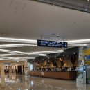 하이원 그랜드호텔 이미지