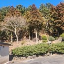 알밤오름하우스 이미지