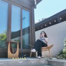 구독자 222만 명을 자랑하는 유튜버＜다샤 타란＞ 1,000원 지폐 속 퇴계 이황을 만나다-안동여행 브이로그 이미지