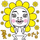 디엠스킨
