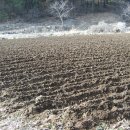 미리농장 이미지