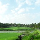 대구컨트리클럽 이미지