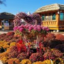 사문진대로 3 이미지