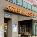 윈터블라썸 | 대전 두쫀쿠 맛집 송촌동 오렌지블로썸 작은 케이크까지 모두 최고였던 내돈 내산 후기