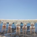 진성슈퍼낚시 | 제주 배낚시 추천- 차귀도 진성배낚시