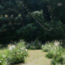 라움건설 | 베뉴 10곳 대관료/식대/당일지정 혜택 총정리 (라움, 롯데호텔, 엘리에나, 보넬리가든, 메종디탈리 등)