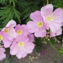 라온뜨락 이미지