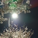 3월 29일 수요일 [7번/11점] 수욜 ^^ 이미지