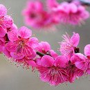 예쁜,날(스킨) 이미지