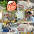 동물농장 이미지