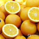 오렌지 이미지