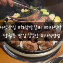 일일양미사