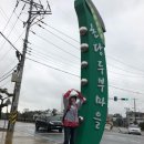 젤리멍 | [평창동계패럴림픽 PEM] 자원봉사 + 10일차