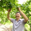 일대농장(2) 이미지