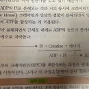 28페이지