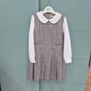 리틀밥독 이미지