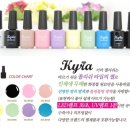 셀프네일아트 : 플럼버니 - 키라 젤리쉬 NO.BV06