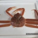 형제농수산 이미지