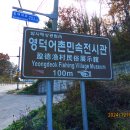 오포리농장 티스토리