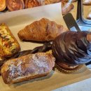 노송동-08(시청지하주차장) | 세종 빵 맛집 추천[싶빵공장 세종보람점]