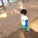 덕동산공원1 이미지