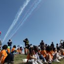 더이글스 이미지