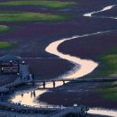 태평목장 이미지