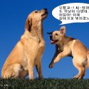 복 이미지