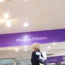 윌핏 이미지