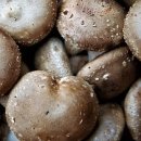 김포표고버섯농장 이미지