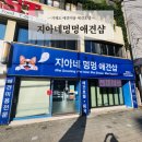 지아네멍멍애견샵 이미지