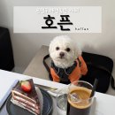 은평구 애견동반 카페ㅣ모던한 감성이 흐르는 수제 디저트 맛집 "호픈" 내돈내산 후기