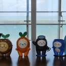 구좌마을여행사협동조합 이미지