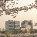 낙원미용실 이미지