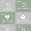 디푸루