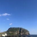 제주 여행 성산 카페 프릳츠 제주성산점 성산일출봉 뷰좋카 크림 도나스, 물랭루즈 티 내돈내산 후기