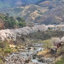 돌산읍 하동마을 경로당 이미지