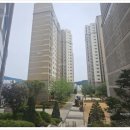 디엠씨에이치 네이버블로그
