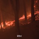 함평축구장 이미지