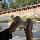 영광군 장애인 무료급식소 | [종로3가역]종묘 근처 익선동 맛집 빵집 “문화 제빵”