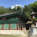 은행동 1032(은행2동주민센터) | 경기 성남시 판교환경생태학습원과 신구대학교식물원 등 여행지