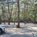 무릉도원면-21 이미지