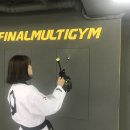 파이널 태권도 멀티짐 이미지