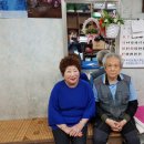 양동수선 이미지