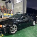 정글팩토리 이미지