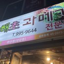 해초과메기 부산점 이미지