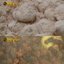 성심떡집 이미지