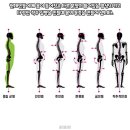 마디체형교정센터 티스토리
